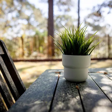 Un Nid Dans La Pinede - Holiday home Lacanau