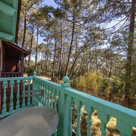Holiday home Un Nid Dans La Pinede -