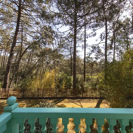 Holiday home Un Nid Dans La Pinede - Lacanau