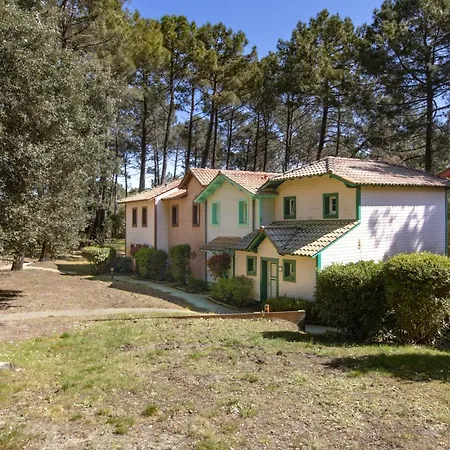 Un Nid Dans La Pinede - * Lacanau